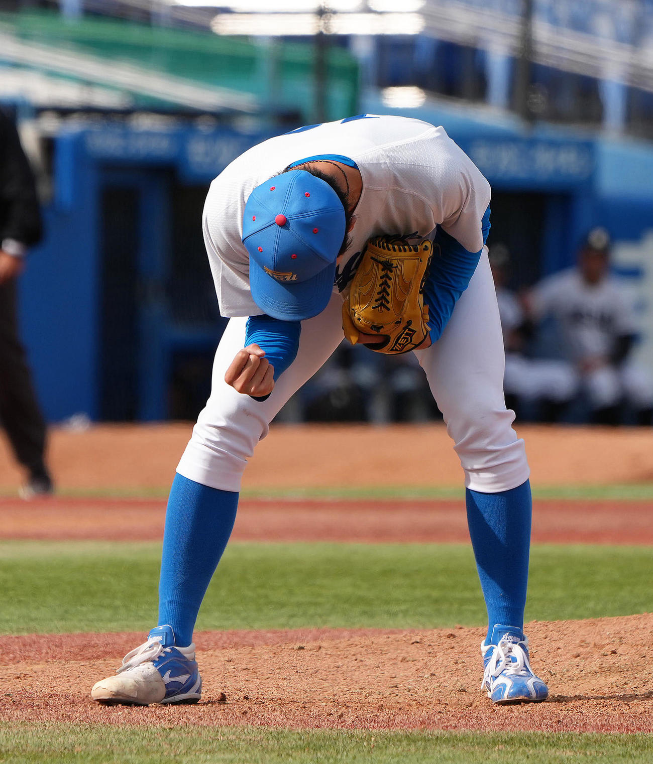 亜大対青学大　完封勝利を挙げガッツポーズする青学大・鈴木（撮影・足立雅史）
