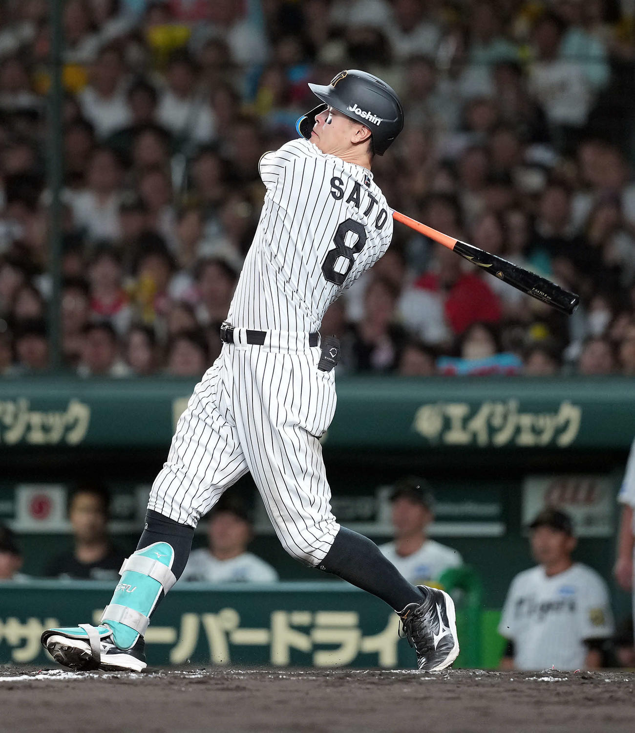 阪神佐藤輝明（2025年10月16日撮影）