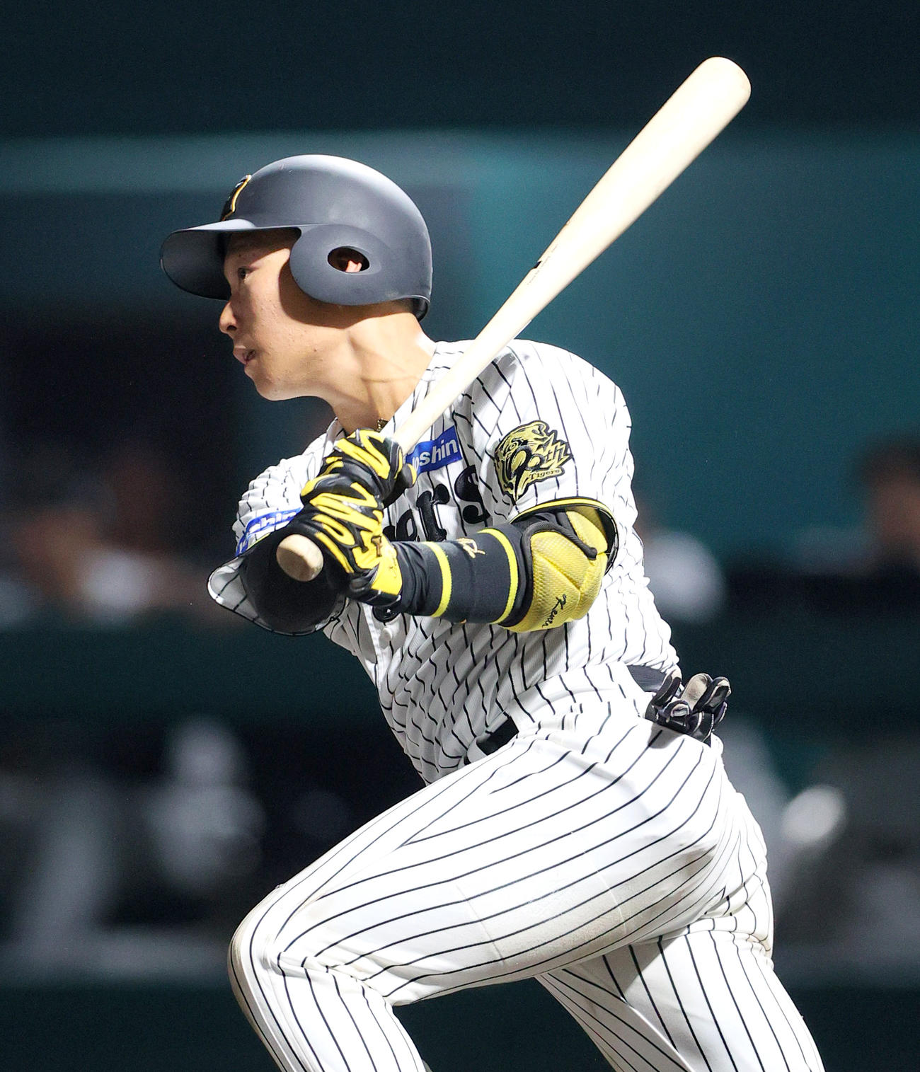 阪神藤田健斗（2025年6月27日撮影）