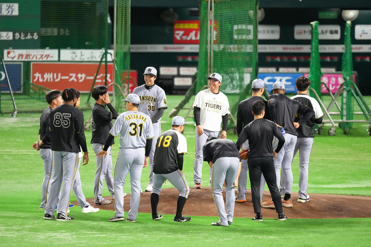 マウンドの感触に笑顔を見せる阪神の才木（中央左）と村上（同右）（撮影・足立雅史）