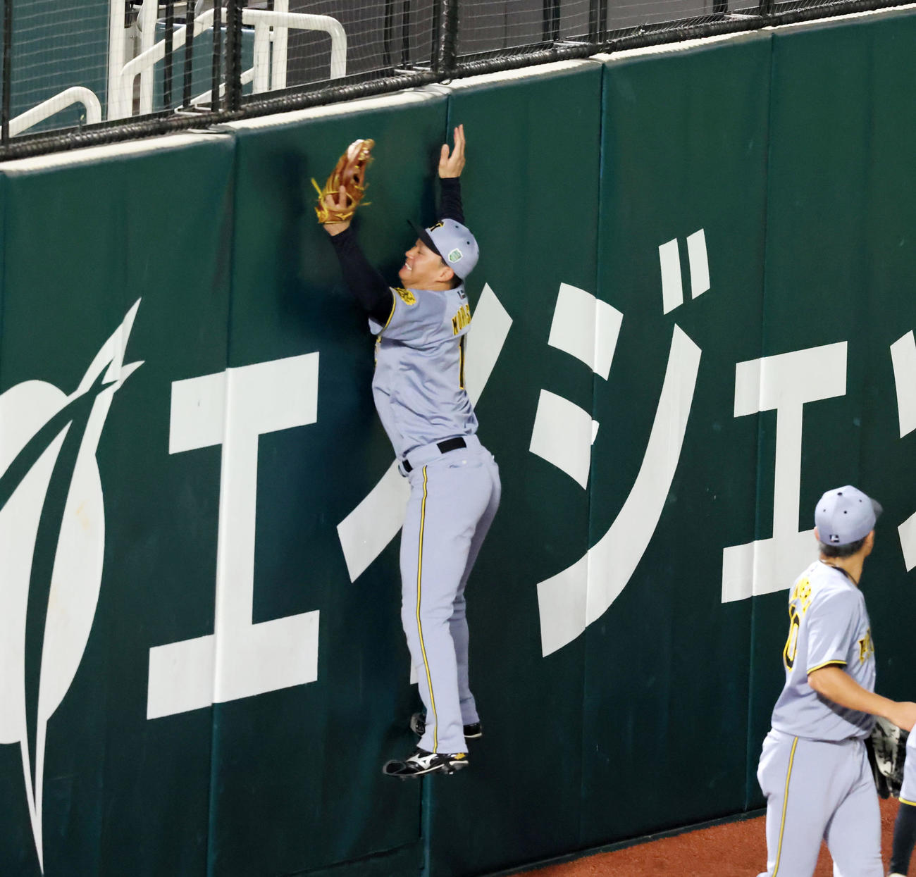 フェンスへ体当たりする阪神森下（撮影・加藤哉）