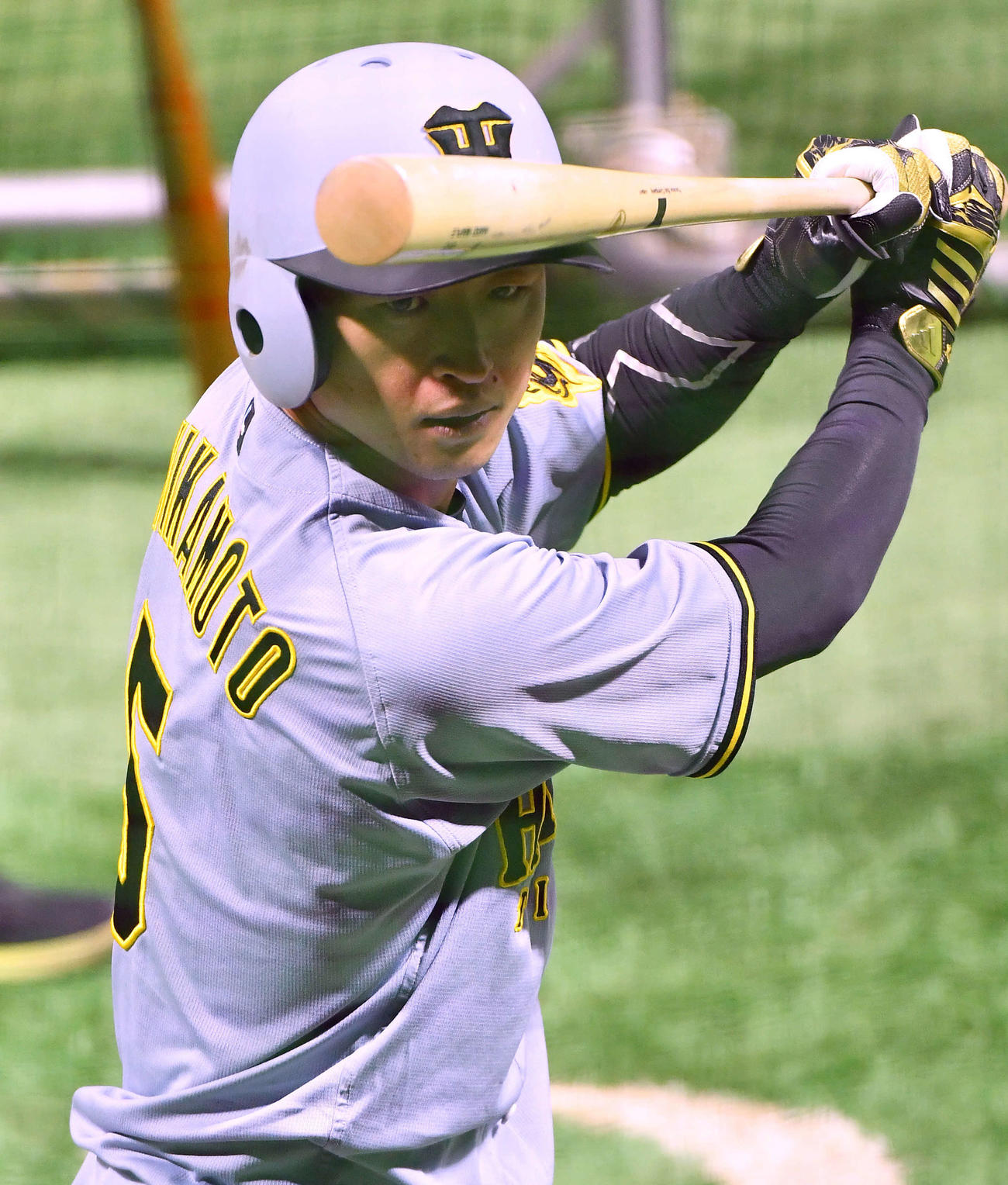打撃練習を行う阪神近本（撮影・岩下翔太）