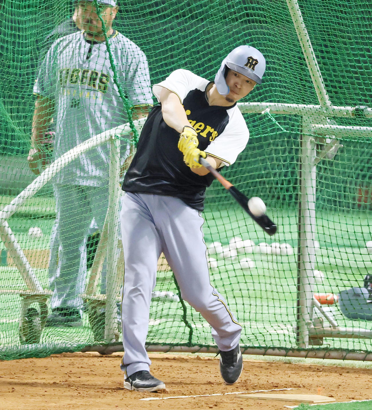 打撃練習する阪神佐藤輝（撮影・加藤哉）