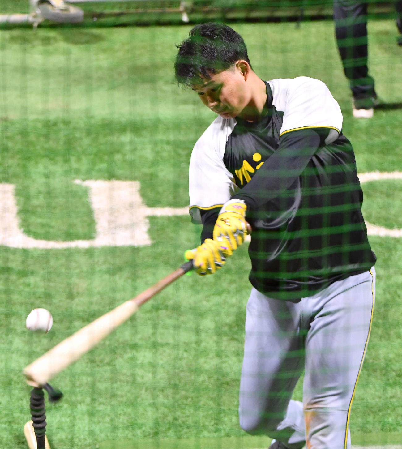 ティー打撃を行う阪神森下（撮影・岩下翔太）