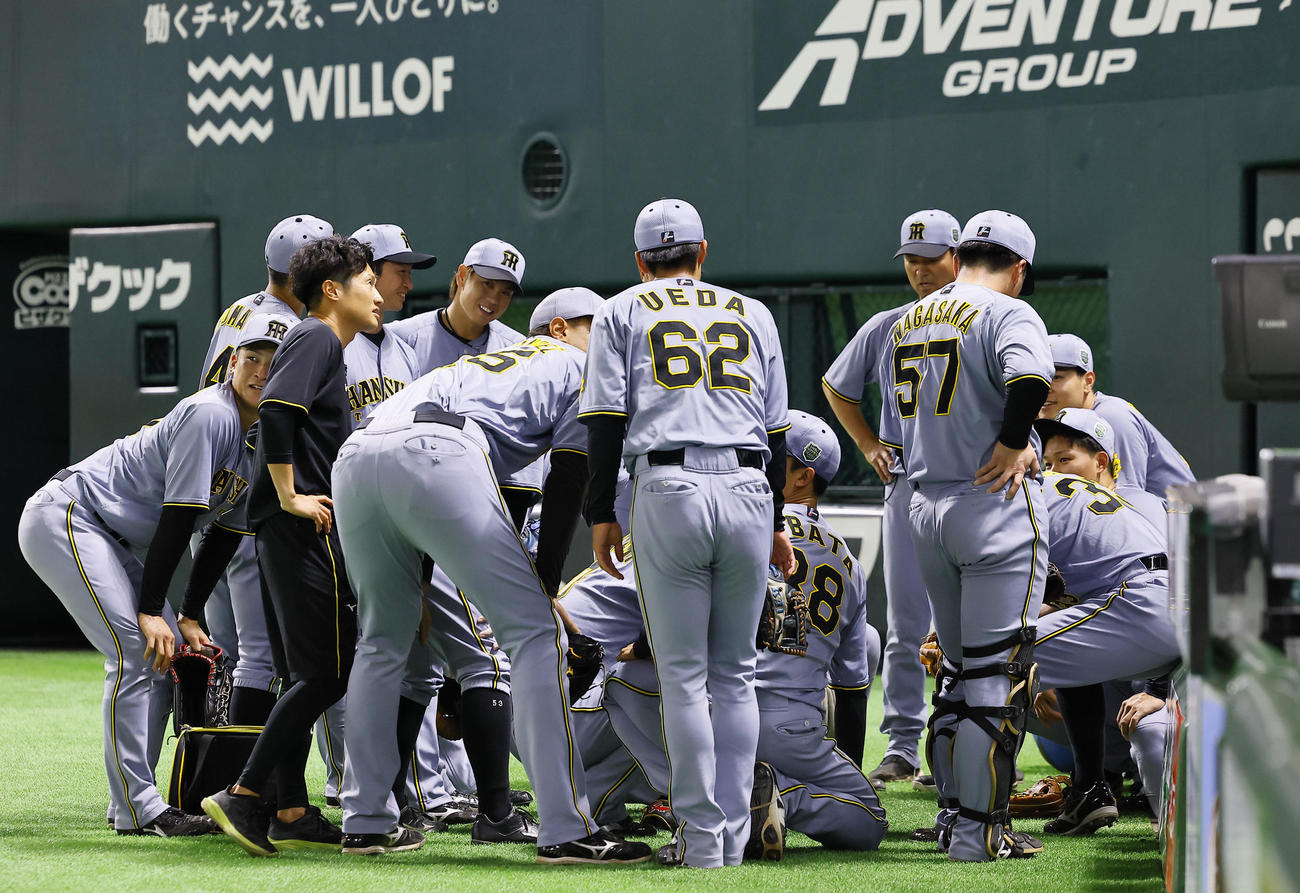 ソフトバンク対阪神　円陣を組む阪神ナイン（撮影・藤尾明華）