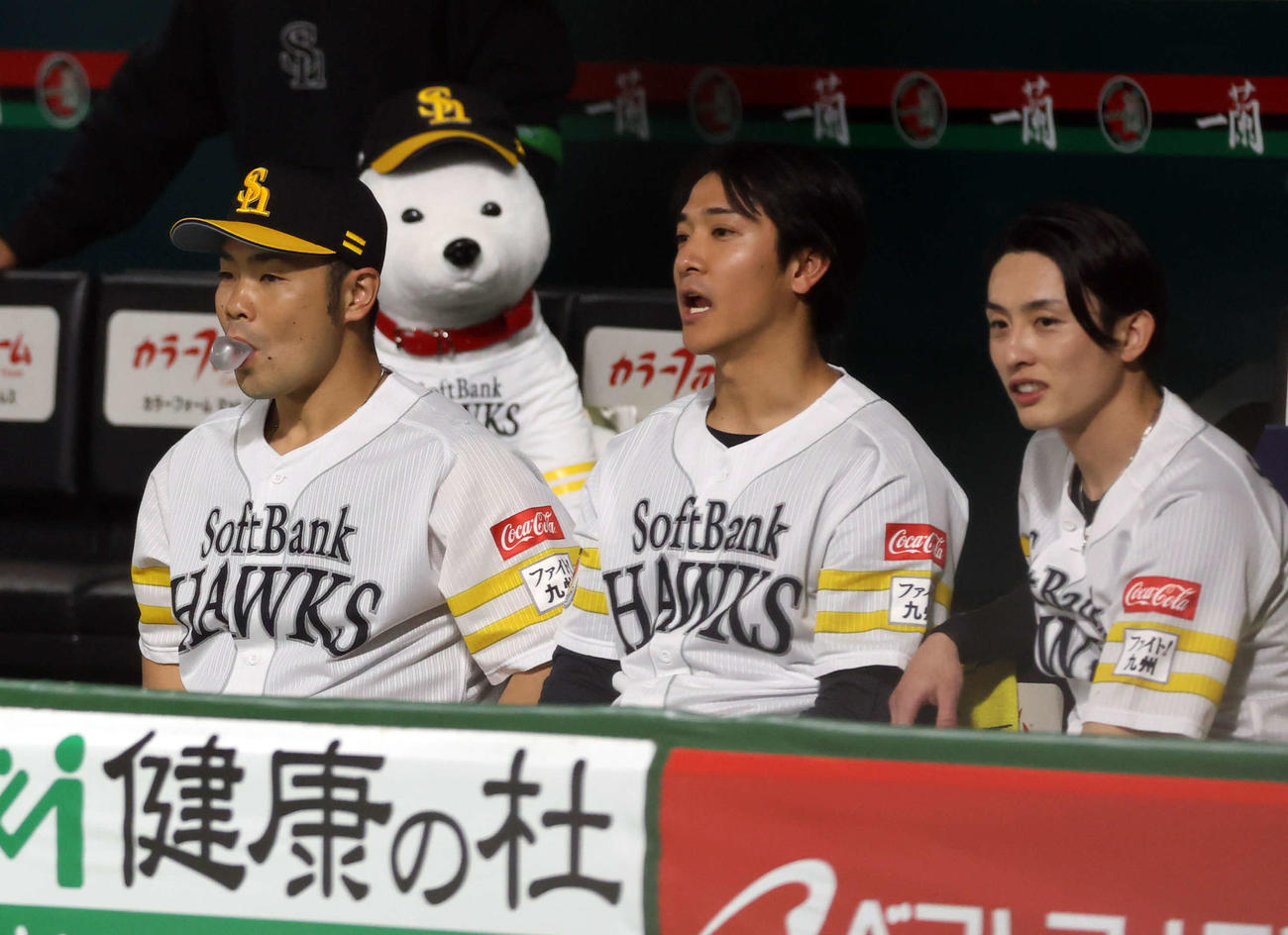ソフトバンク対阪神　お父さん犬を背にガムをふくらませるソフトバンク近藤（左）。中央は柳町。右は周東（撮影・浅見桂子）