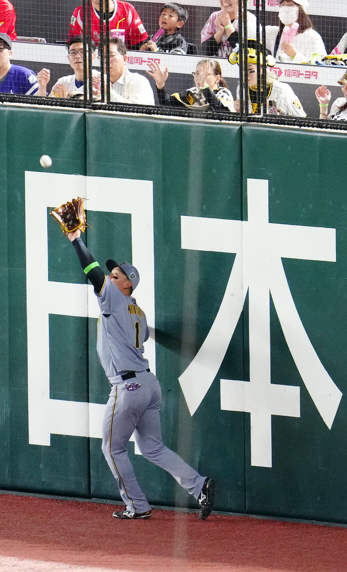 ソフトバンク対阪神　5回裏ソフトバンク1死一塁、右飛となった周東の打球を捕球する森下（撮影・江口和貴）
