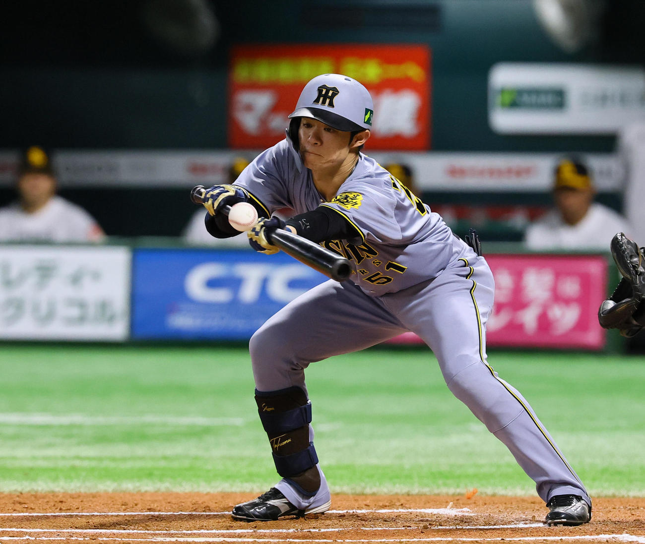 ソフトバンク対阪神　6回表阪神無死二塁、中野は三塁線にバント安打を決める（撮影・藤尾明華）