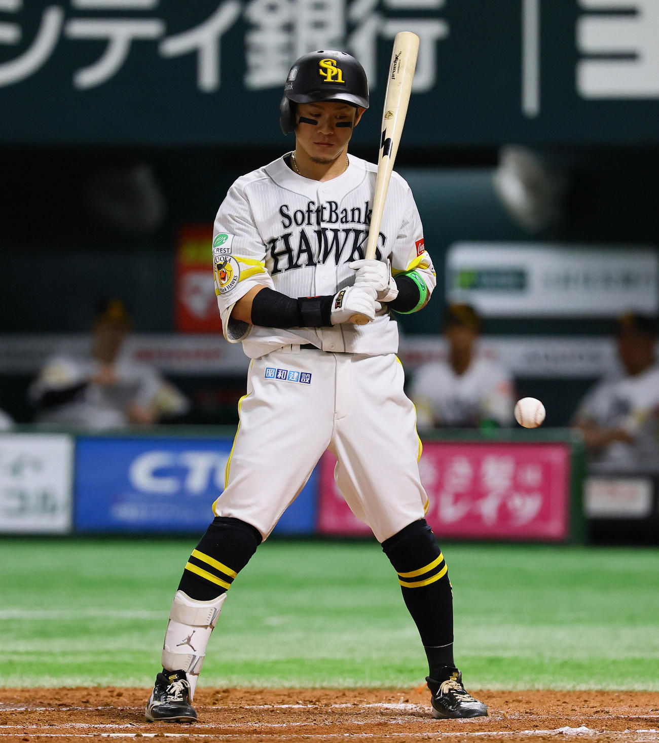 ソフトバンク対阪神　2回裏ソフトバンク2死、村上の59キロの球を見送る牧原大（撮影・藤尾明華）