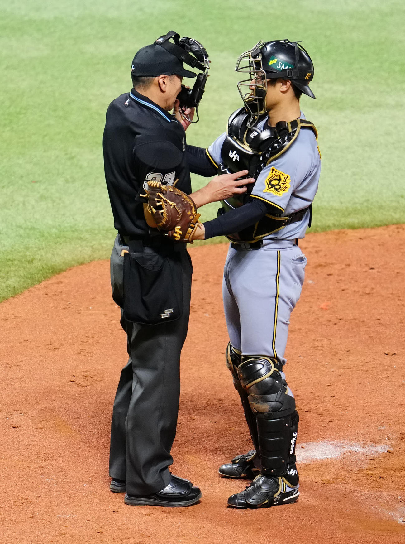 ソフトバンク対阪神　4回裏ソフトバンク1死、山川のファウルボールが当たった有隅球審（左）を心配する捕手坂本（撮影・江口和貴）