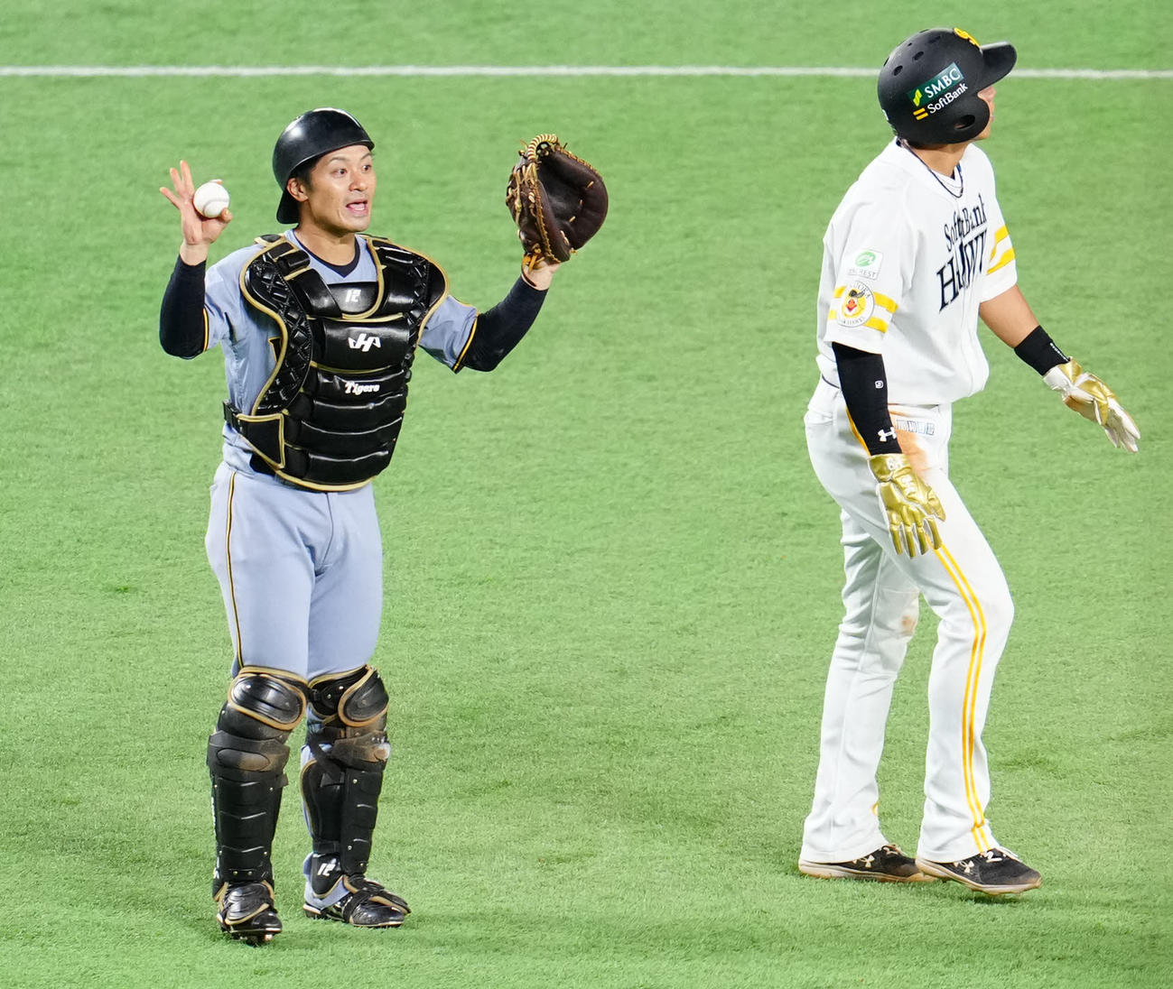 ソフトバンク対阪神　1回裏ソフトバンク無死一、二塁、打者柳町の時、走塁ミスの二塁走者柳田（右）にタッチした捕手坂本（撮影・江口和貴）