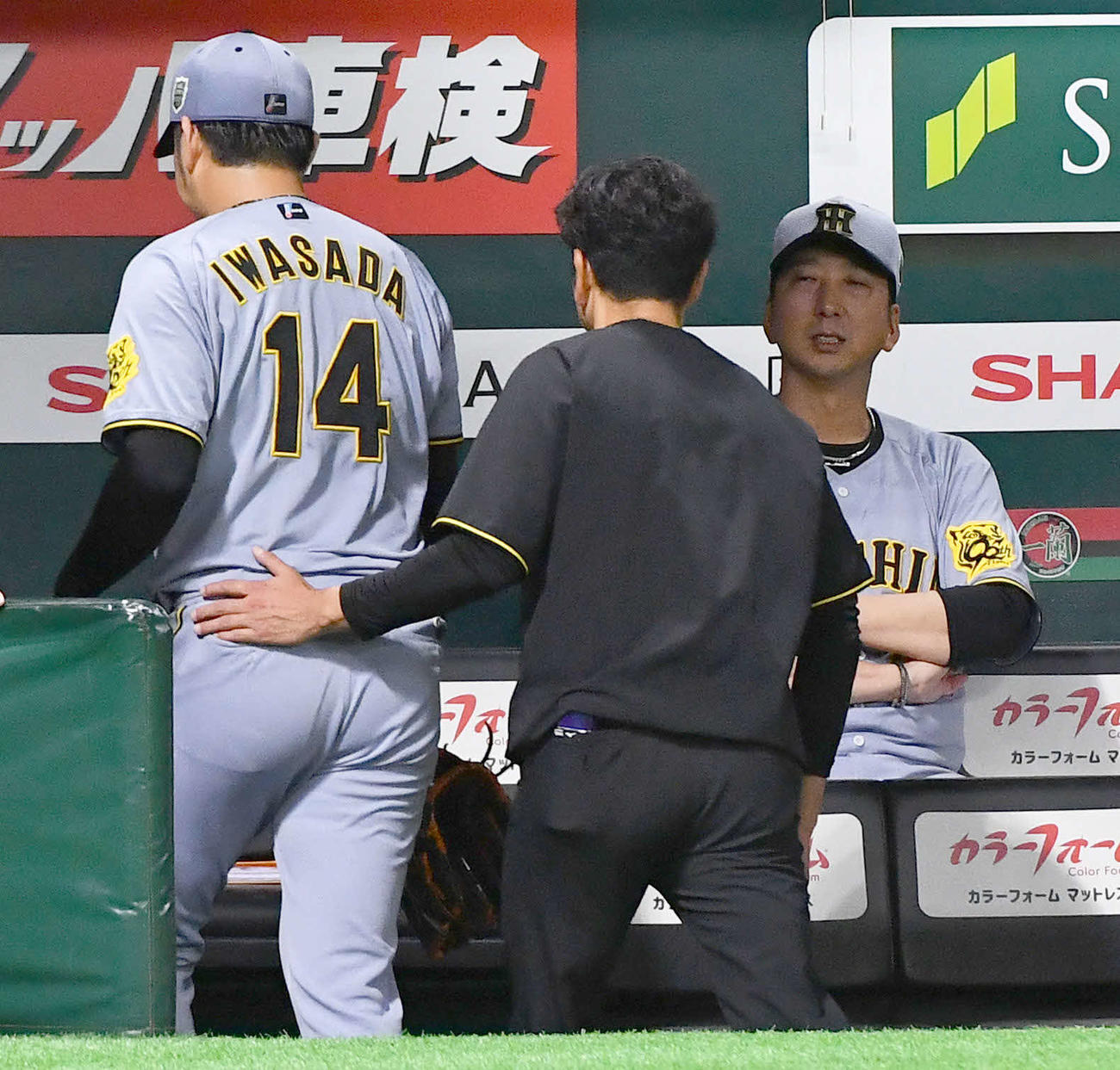 ソフトバンク対阪神　3回裏ソフトバンク2死一、二塁、柳町の投手返しが当たり、治療のためベンチへ戻った岩貞（左）を心配する藤川監督（撮影・岩下翔太）