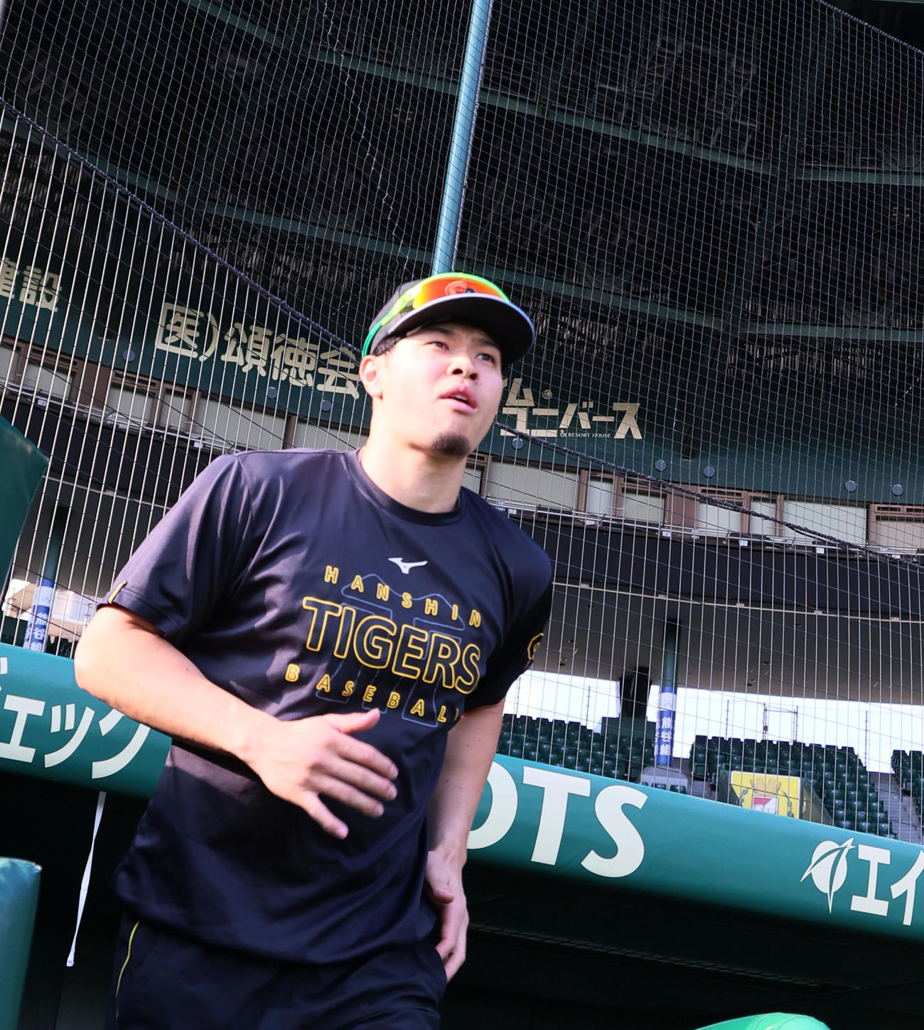 甲子園球場に戻って練習のためグラウンドに出る阪神佐藤輝（撮影・加藤哉）