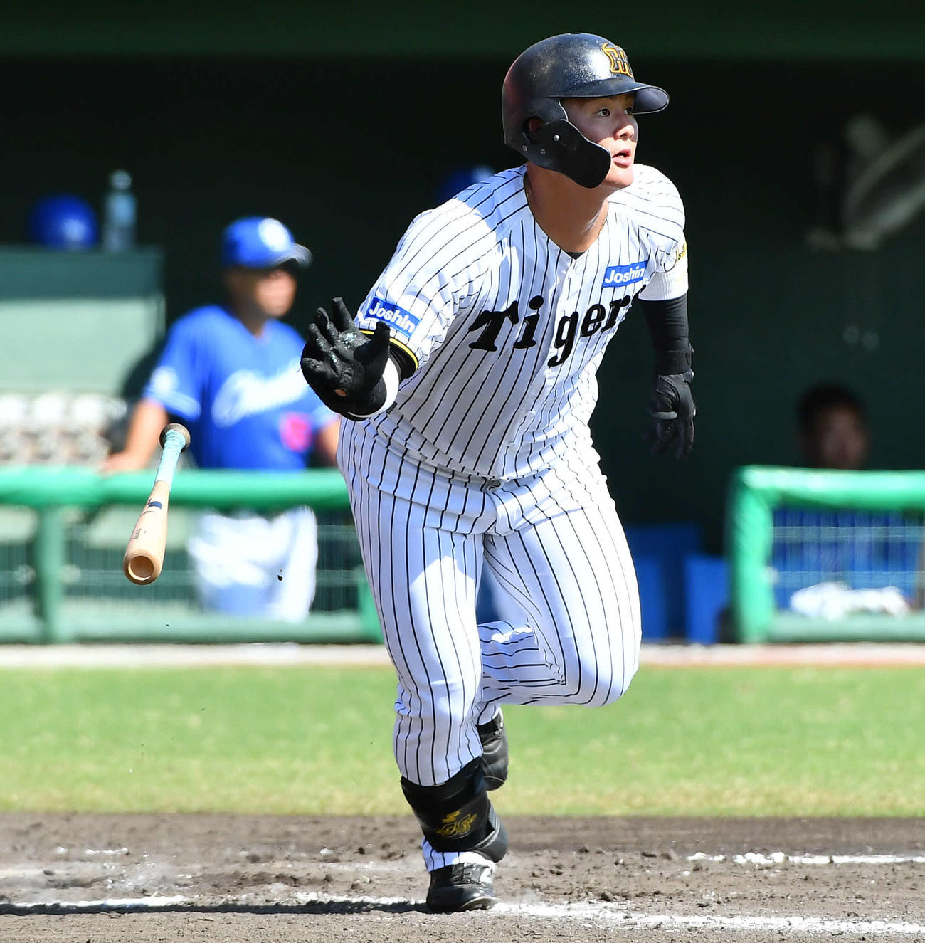 阪神・前川右京（2025年10月7日撮影）