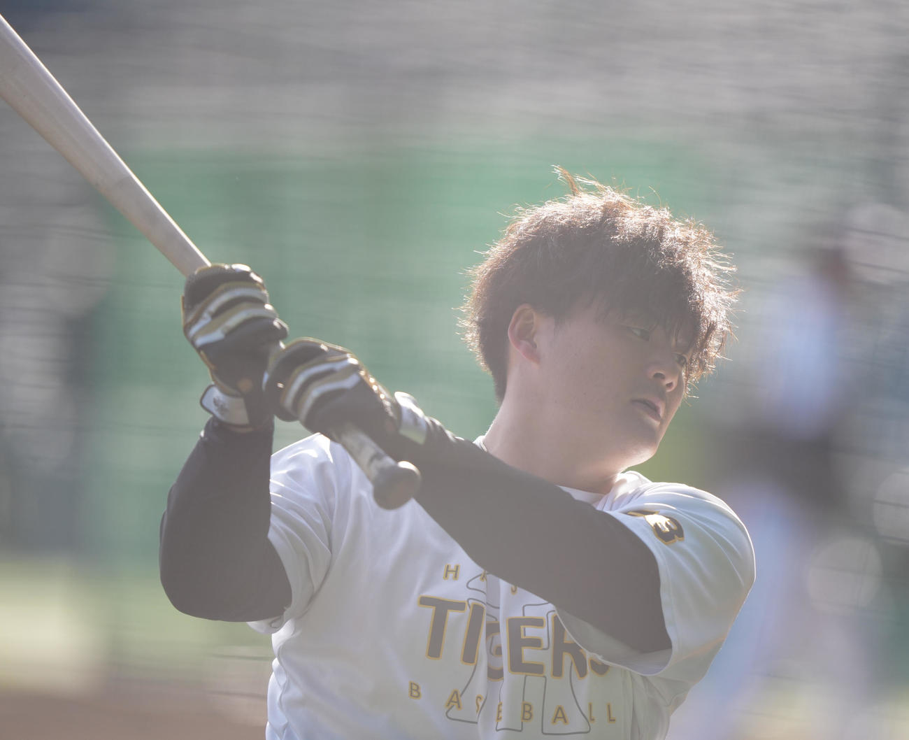 阪神対ソフトバンク　打撃練習する阪神前川（撮影・鈴木みどり）