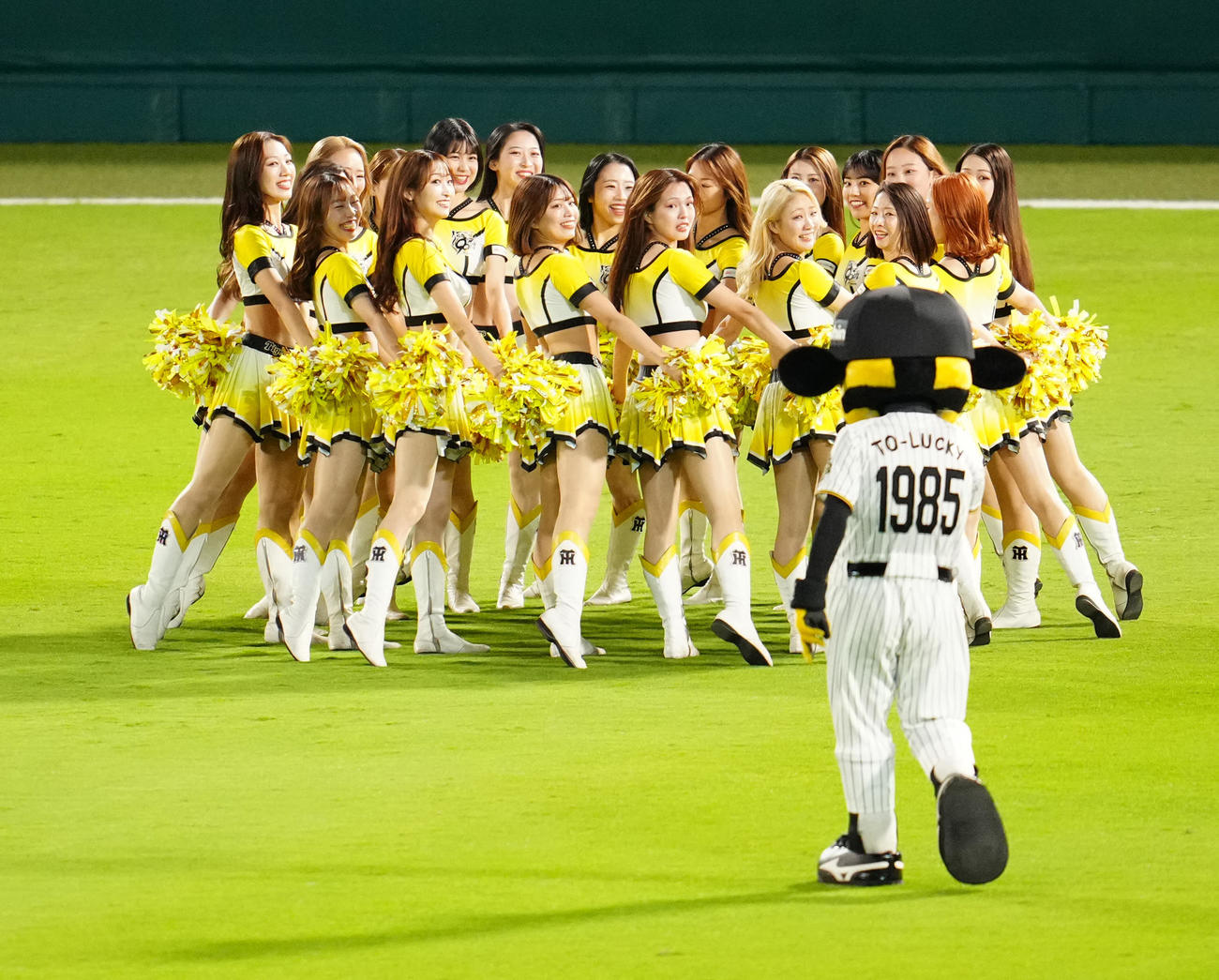 阪神対ソフトバンク　試合前、円陣を組むタイガースガールズ（撮影・江口和貴）