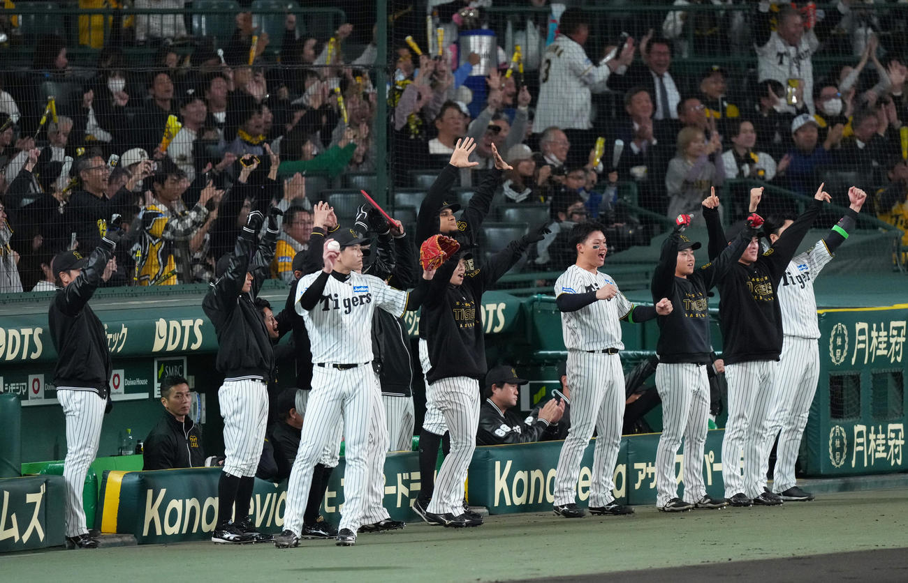 阪神対ソフトバンク　1回裏阪神2死一塁、佐藤輝の先制適時二塁打に盛り上がる才木（左から3人目）ら（撮影・足立雅史）
