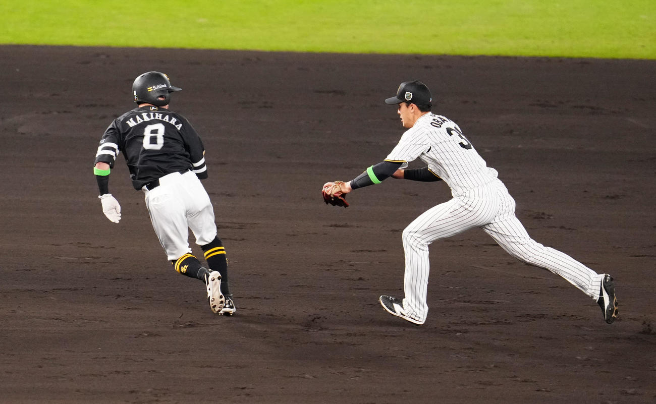 阪神対ソフトバンク　5回表ソフトバンク無死二塁、海野の一ゴロで走者牧原大（左）を追う遊撃手小幡（撮影・江口和貴）