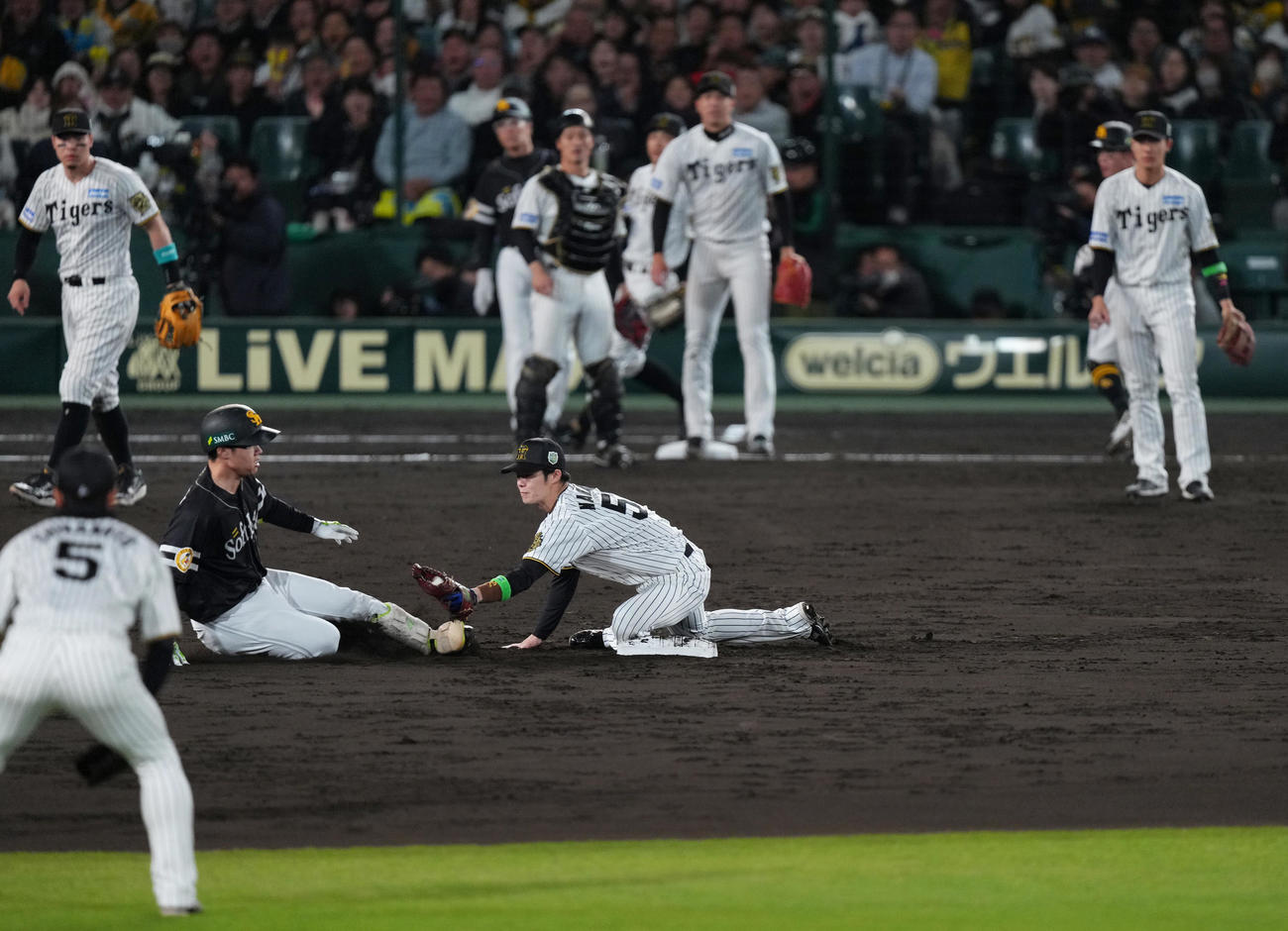 阪神対ソフトバンク　5回表ソフトバンク無死二塁、海野（中央左）を二塁アウトとする中野（撮影・足立雅史）