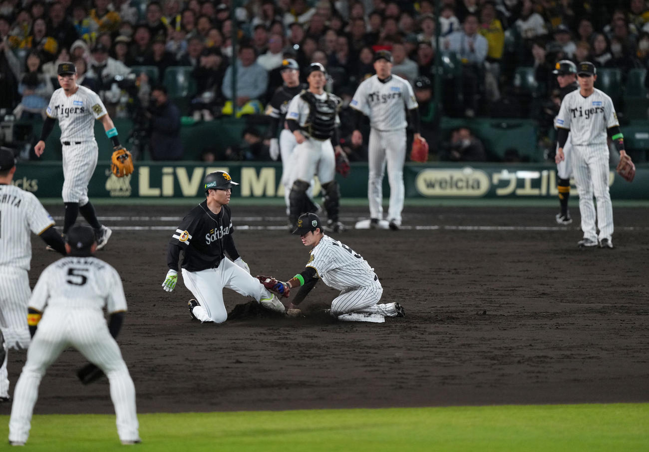 阪神対ソフトバンク　5回表ソフトバンク無死二塁、海野（中央左）を二塁アウトとする中野（撮影・足立雅史）