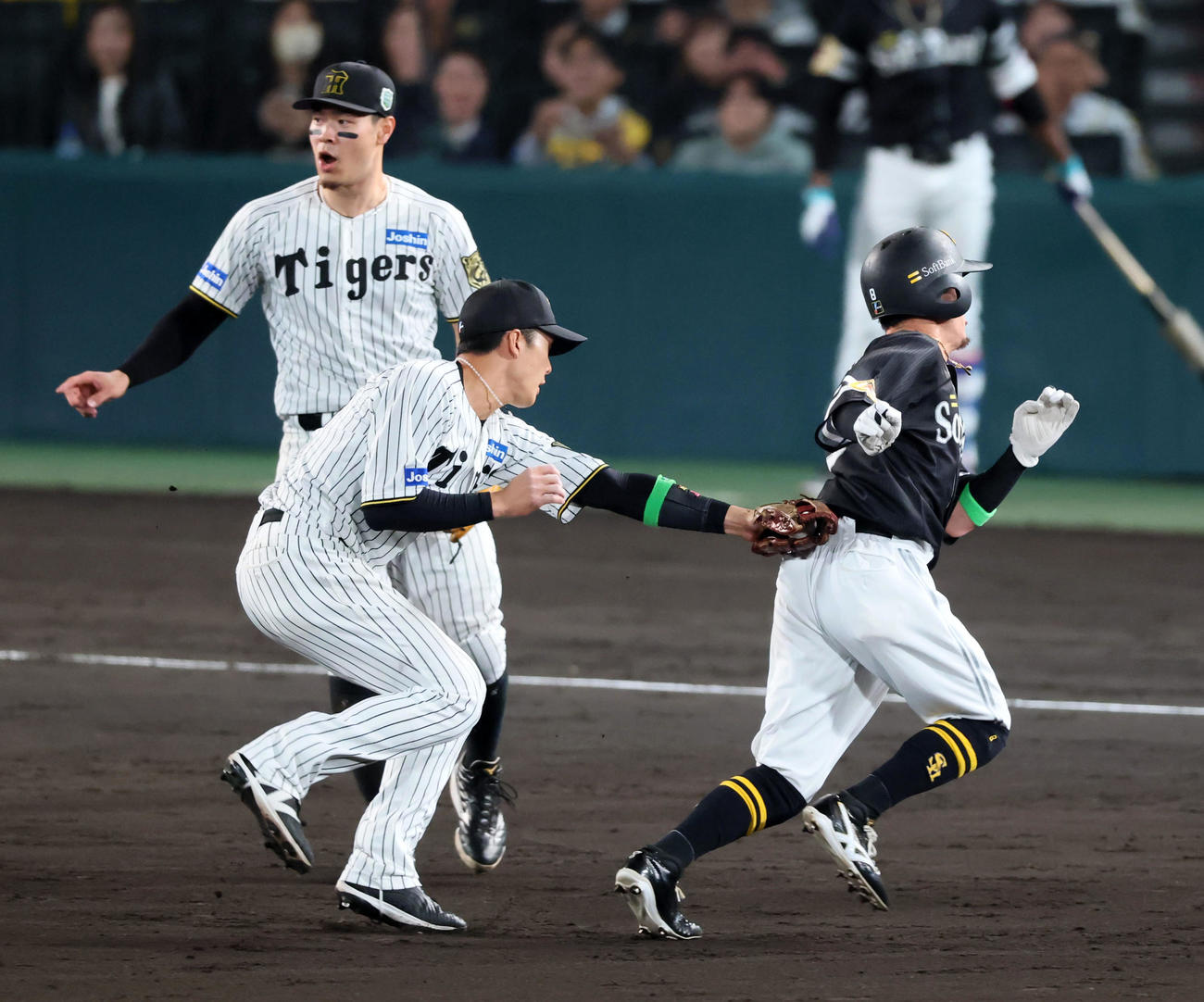 阪神対ソフトバンク　5回表ソフトバンク無死二塁、海野の一ゴロで二・三塁間に挟まれアウトになる二走牧原大。野手小幡（撮影・加藤哉）