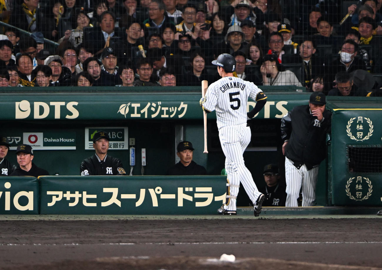 阪神対ソフトバンク　7回裏阪神1死三塁、三振に倒れた近本と見つめる藤川監督（撮影・和賀正仁）