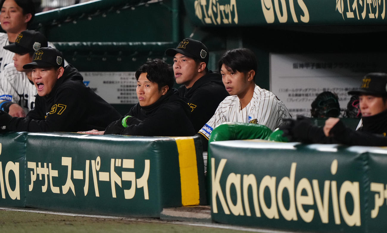 阪神対ソフトバンク　9回裏、ベンチから試合を見守る阪神才木（中央）（撮影・鈴木みどり）