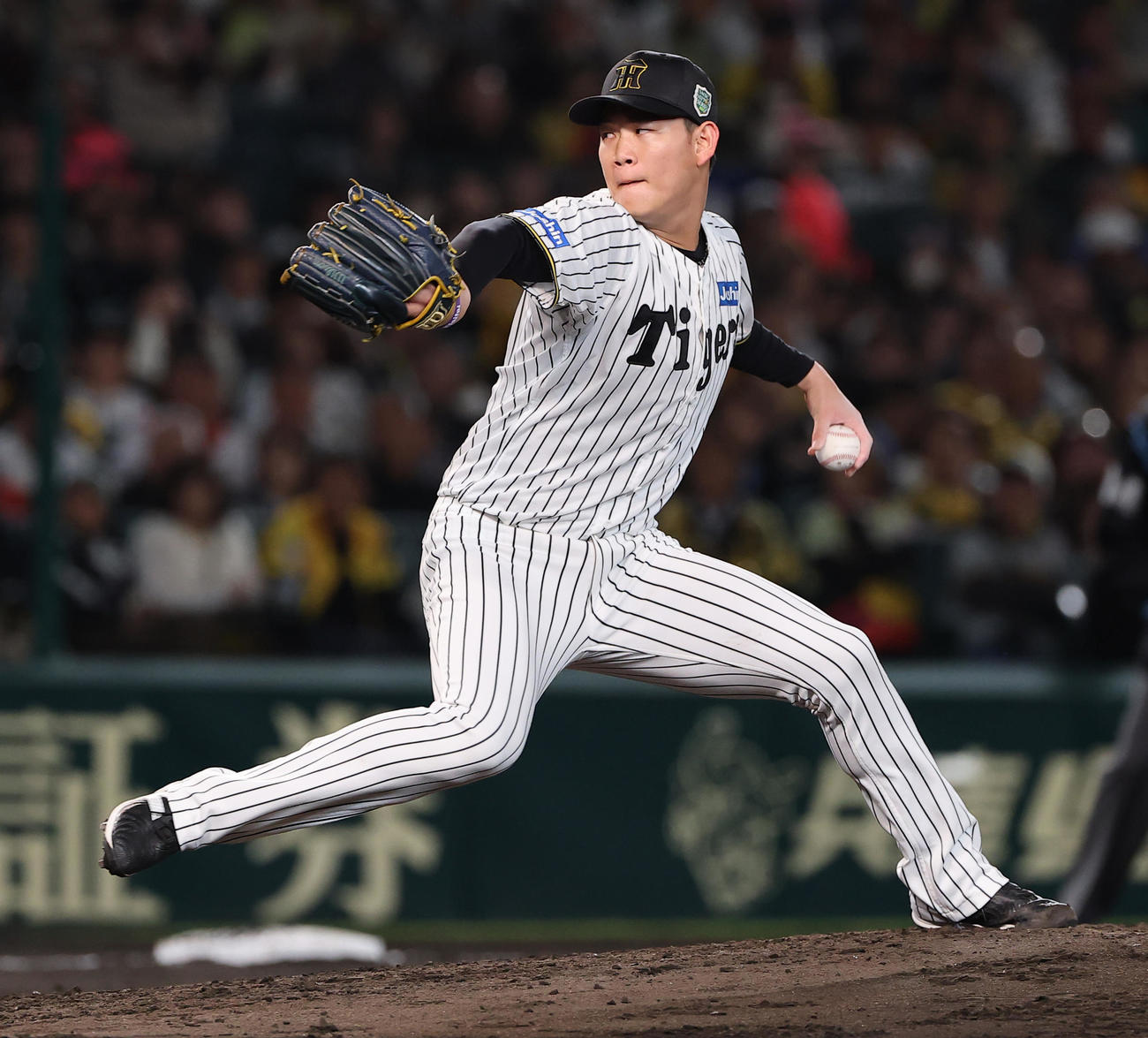 阪神対ソフトバンク　阪神2番手の及川（撮影・上田博志）