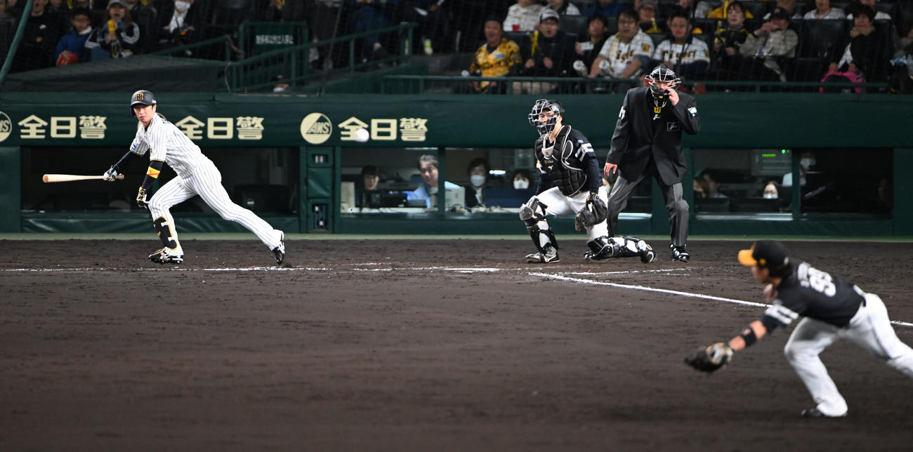 阪神対ソフトバンク　9回裏阪神1死一塁、左前打を放つ近本（撮影・和賀正仁）