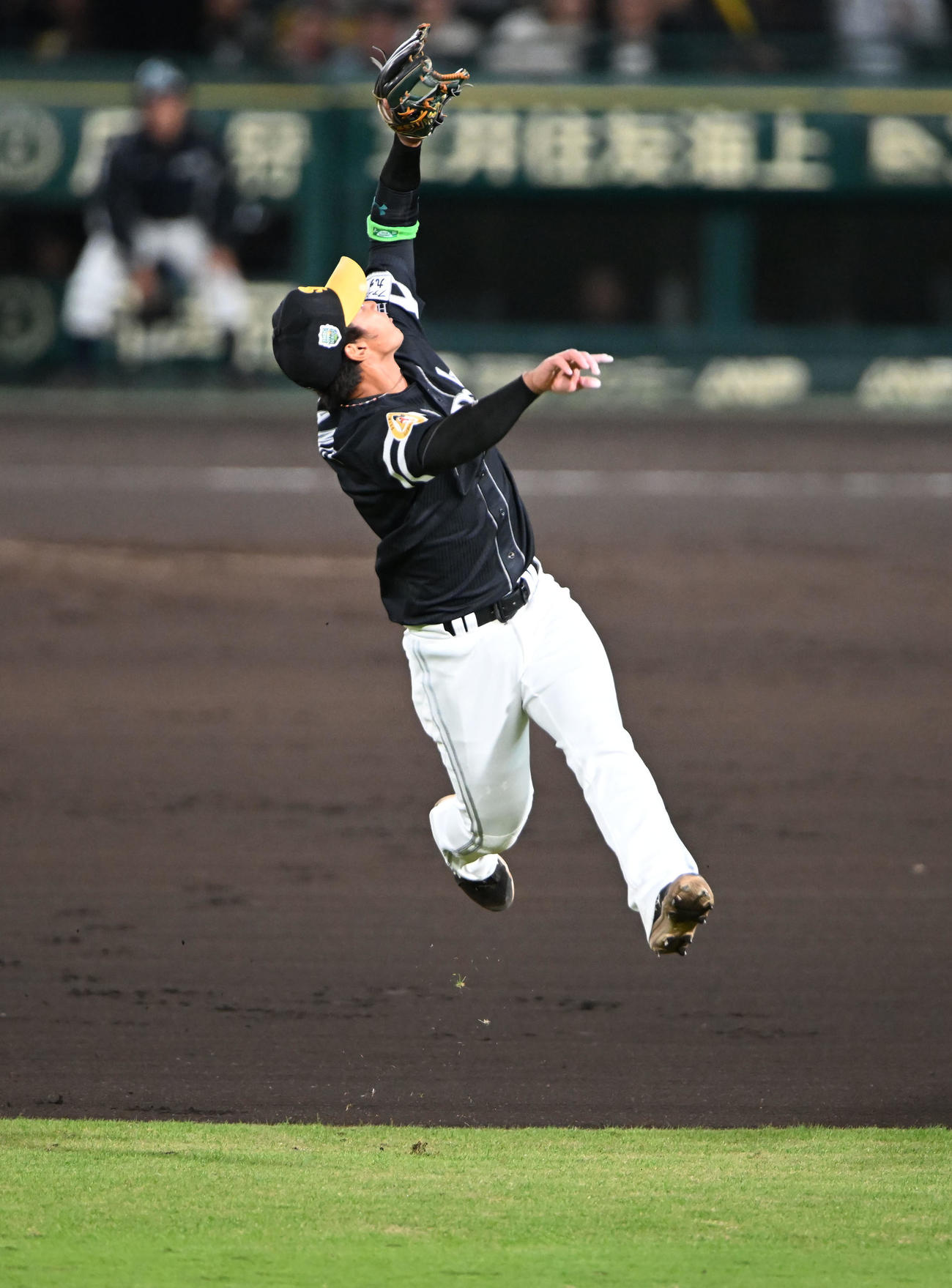 2025年10月28日　阪神対ソフトバンク　6回裏阪神2死一、二塁、坂本の飛球を好捕する遊撃手今宮健太