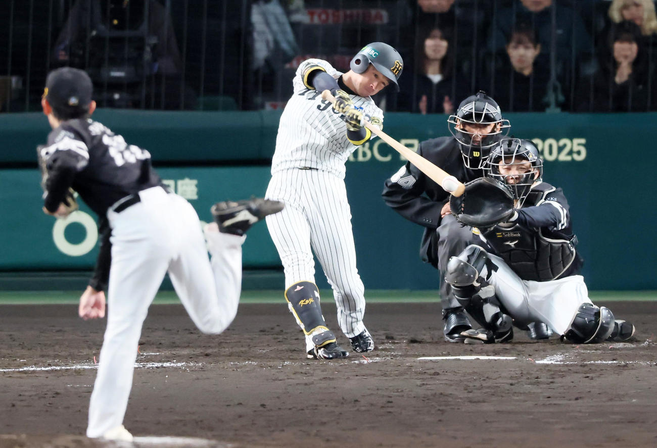 阪神対ソフトバンク　5回裏阪神2死、近本は中前打を放つ。投手大津（撮影・加藤哉）