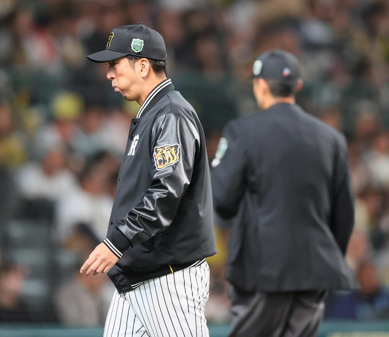 阪神対ソフトバンク　8回を終え、藤川監督は球審に交代を告げベンチに戻る（撮影・上山淳一）