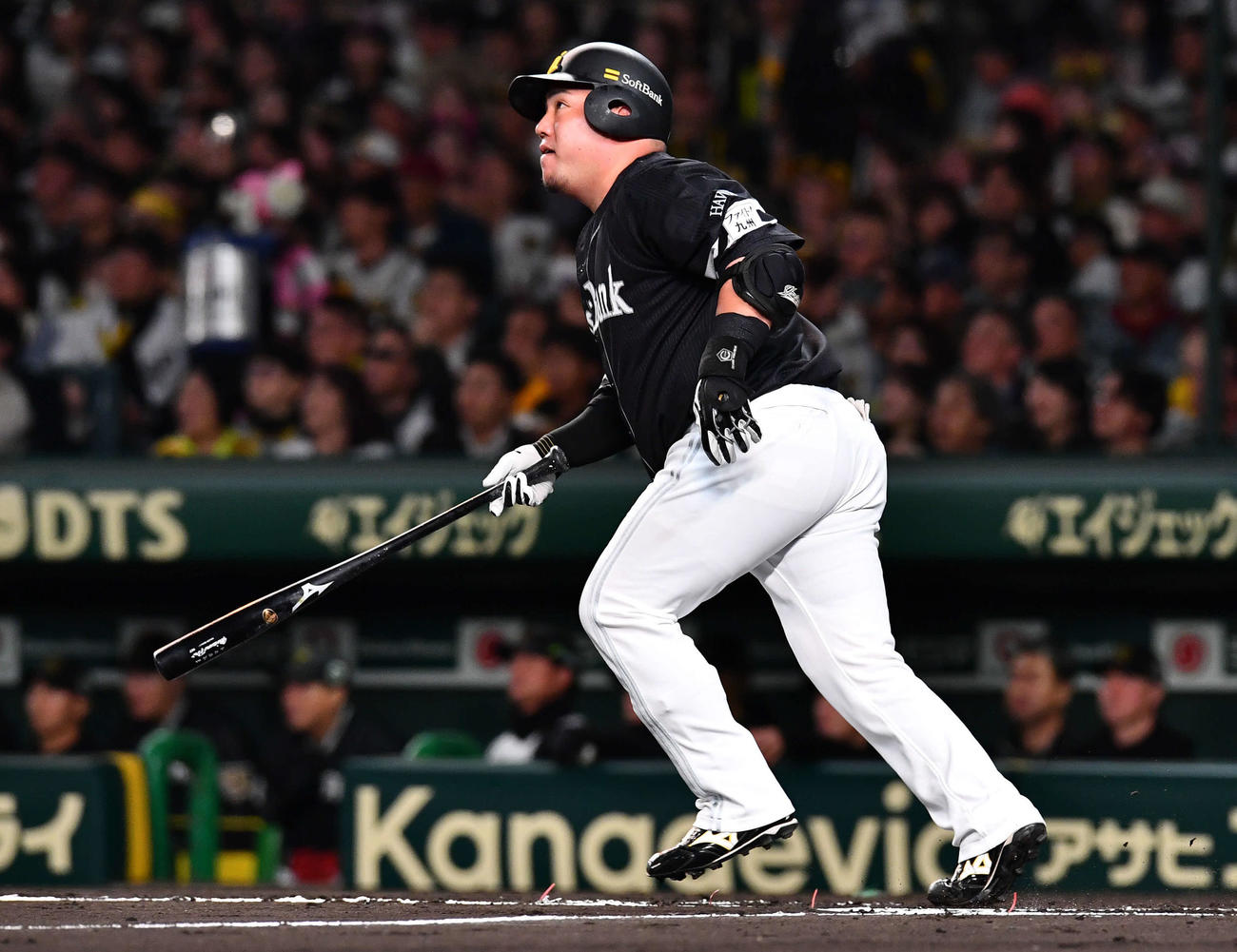 阪神対ソフトバンク　2回表ソフトバンク無死、山川は先制の中越え本塁打を放つ（撮影・岩下翔太）