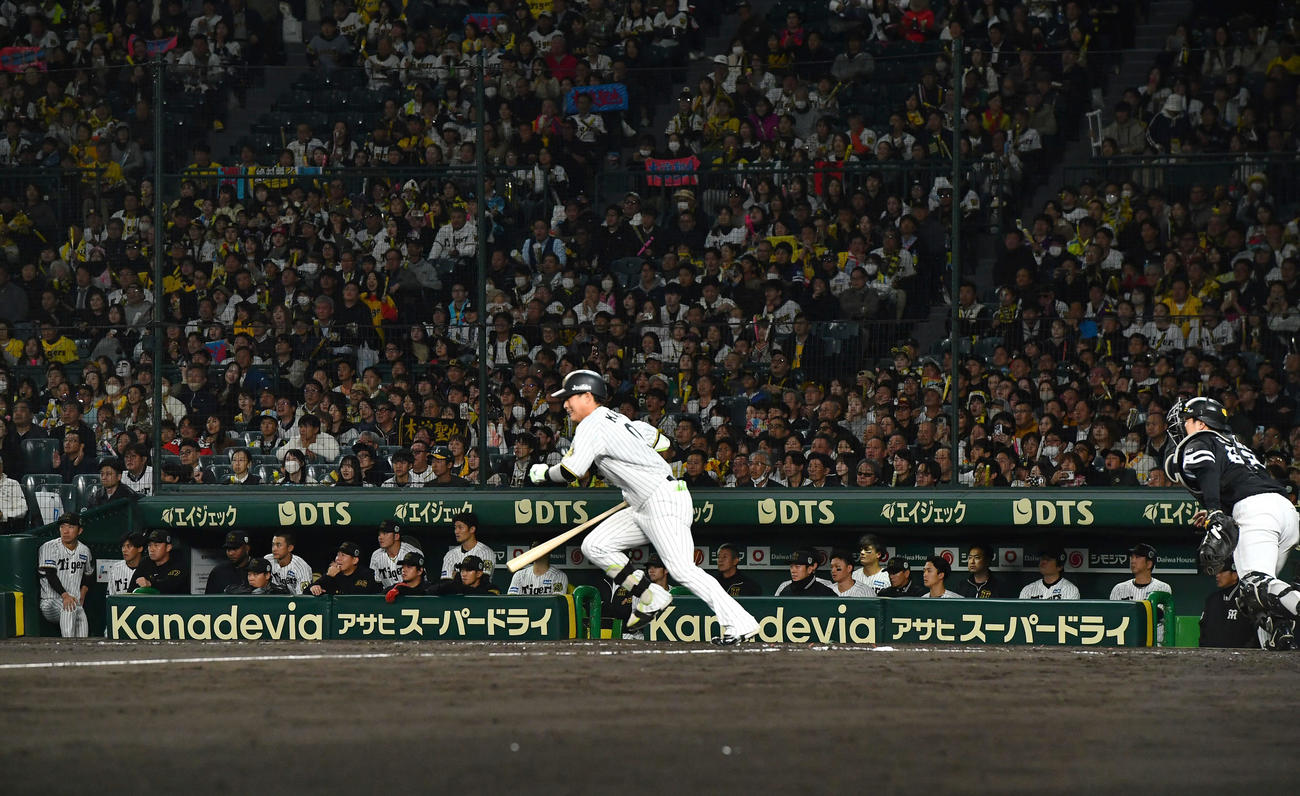 阪神対ソフトバンク　9回裏阪神2死、木浪（手前）の二ゴロで試合終了し、肩を落とす阪神ナイン（撮影・岩下翔太）