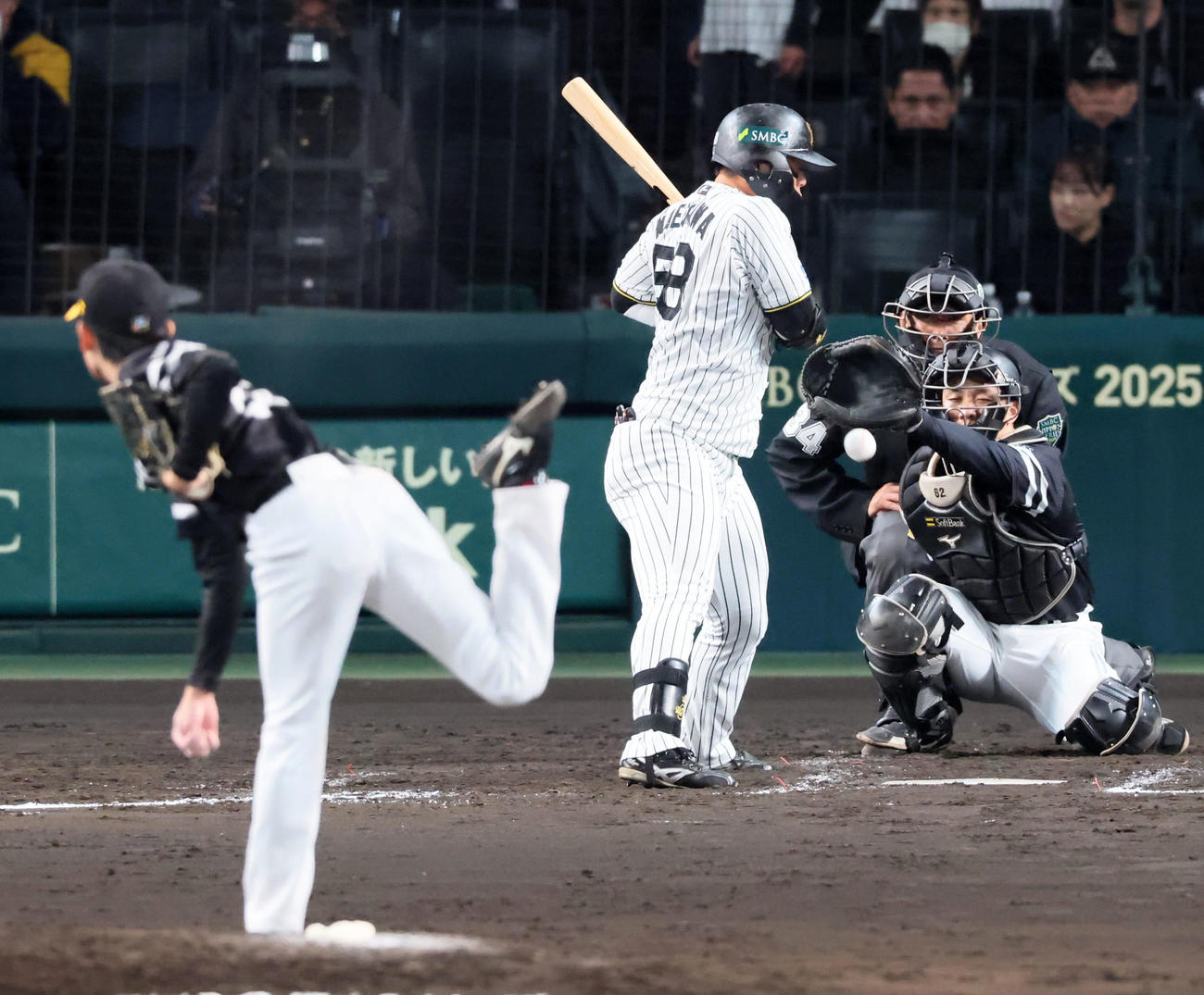 阪神対ソフトバンク　4回裏阪神1死、死球を受ける前川。投手大津（撮影・加藤哉）