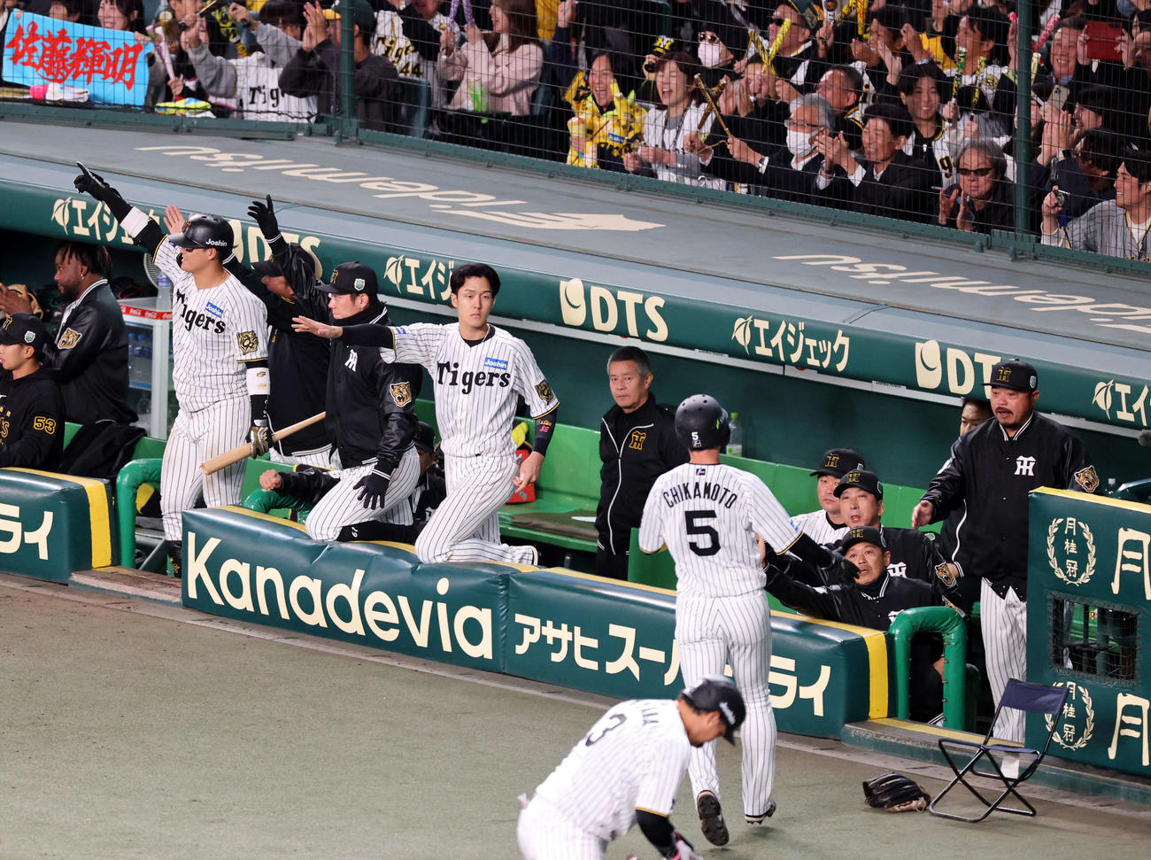 阪神対ソフトバンク　8回裏阪神1死一、二塁、佐藤輝の適時打で生還した近本（手前）を迎える藤川監督（右から3人目）ら阪神の選手たち（撮影・浅見桂子）