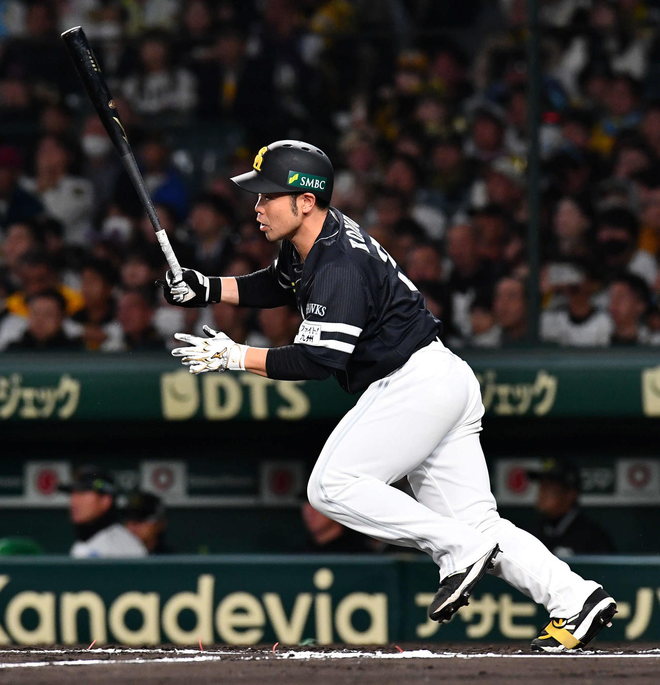 阪神対ソフトバンク　6回表ソフトバンク2死二塁、近藤は右前適時打を放つ（撮影・岩下翔太）
