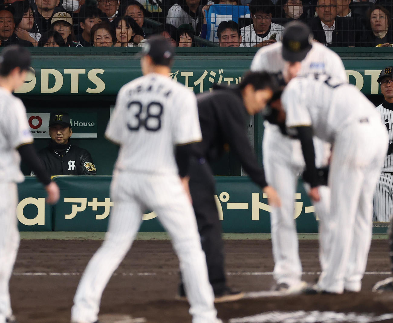 阪神対ソフトバンク　5回表ソフトバンク1死一、二塁、藤川監督（左）は周東の打球が直撃した高橋をベンチから見守る（撮影・上田博志）