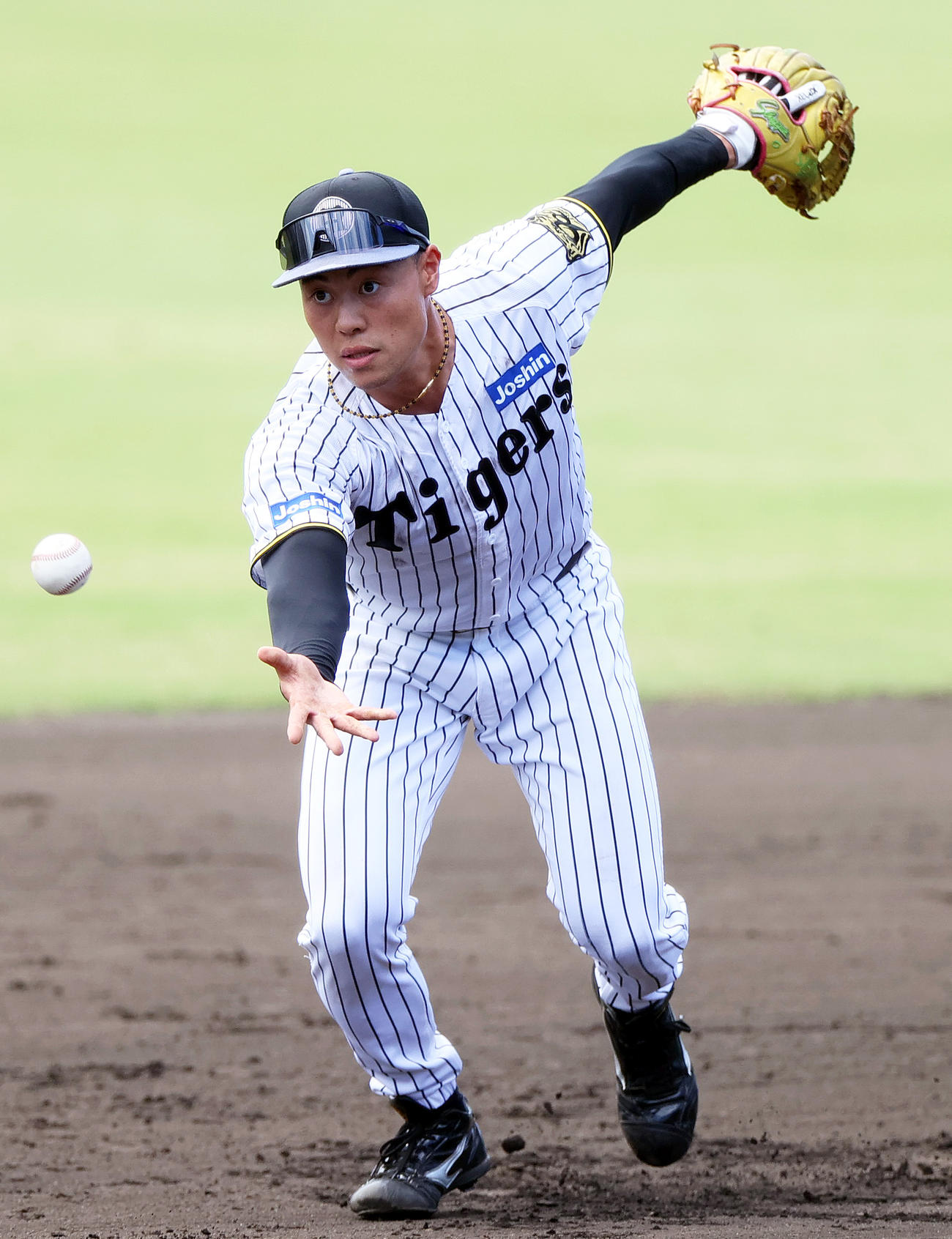 佐野大陽（25年10月8日）