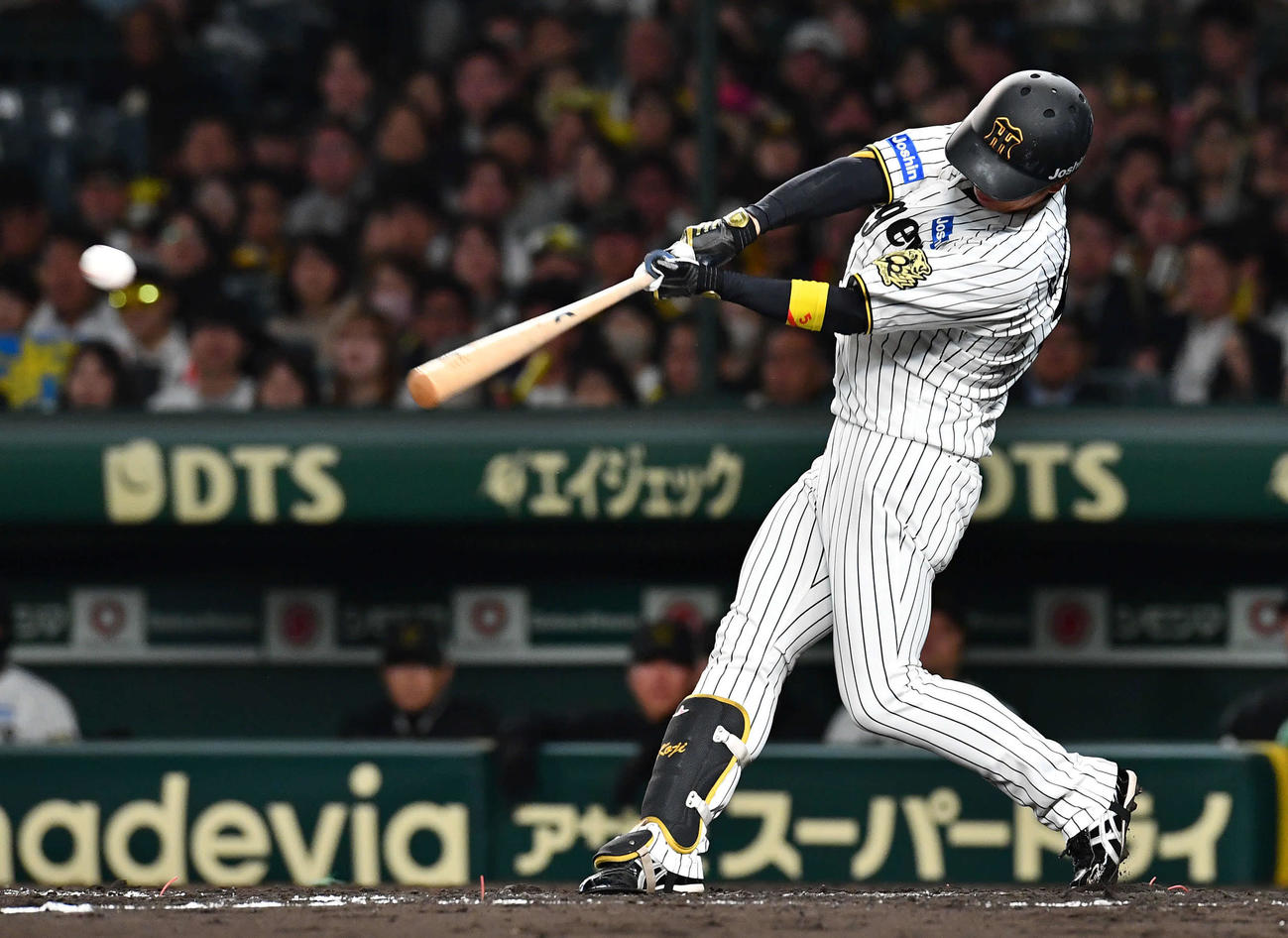 阪神対ソフトバンク　5回裏阪神無死一塁、近本は右前安打を放つ（撮影・岩下翔太）