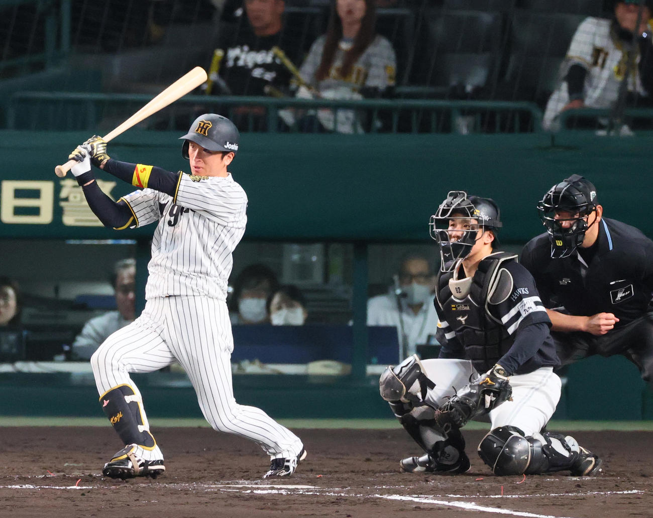 阪神対ソフトバンク　5回裏阪神無死一塁、近本は右前打を放つ（撮影・上山淳一）
