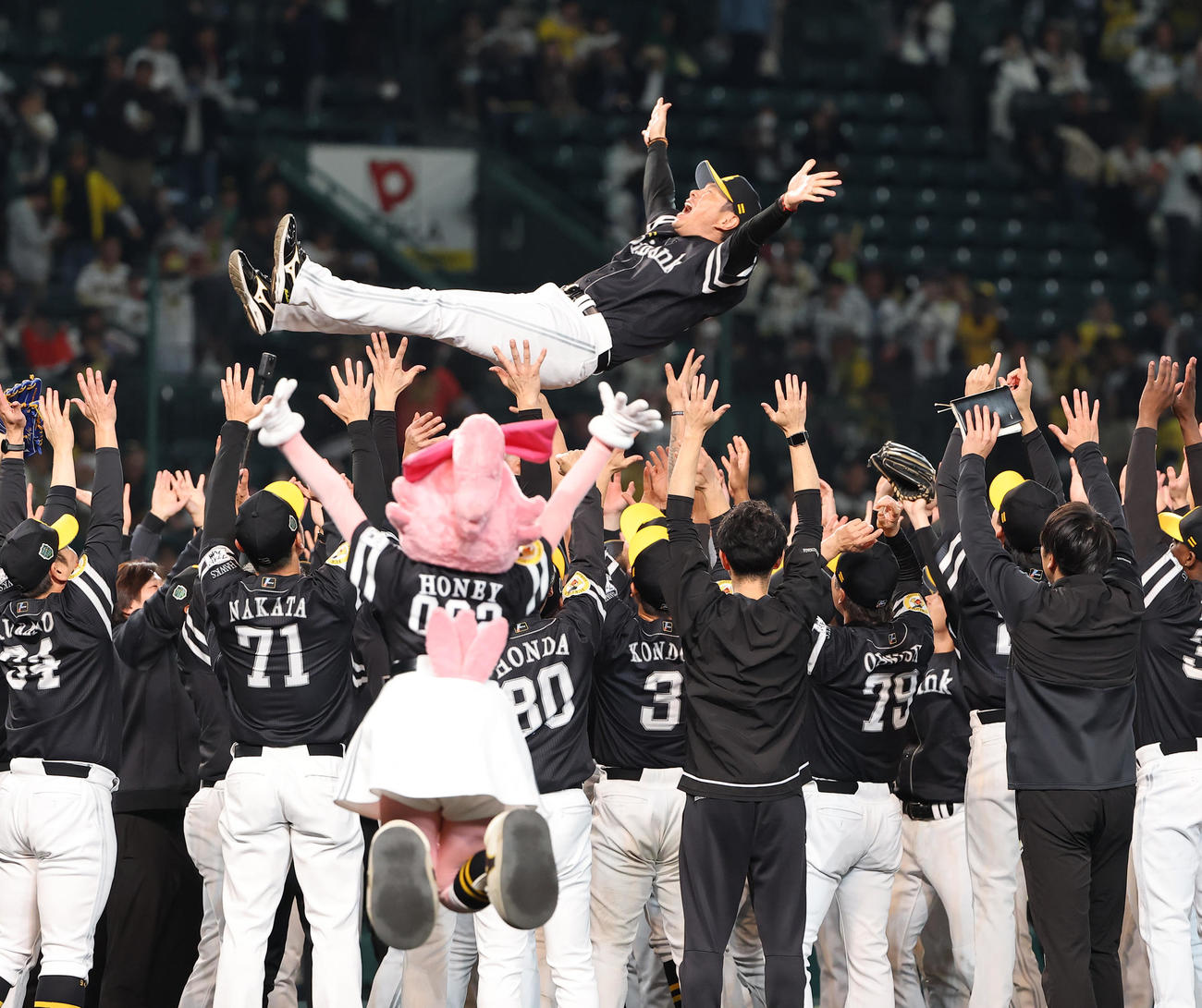 阪神対ソフトバンク　日本シリーズを制した小久保監督はナインから胴上げされる（撮影・上田博志）