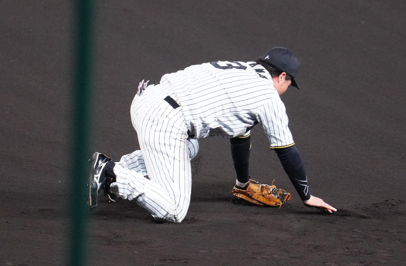 阪神対ソフトバンク　8回表ソフトバンク2死一、三塁、栗原の打球を好守で一ゴロとした大山（撮影・江口和貴）