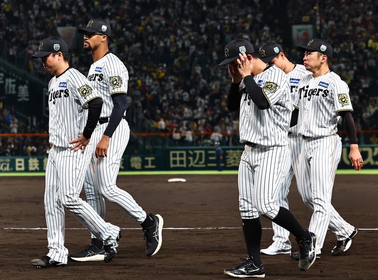 阪神対ソフトバンク　ファンへのあいさつを終えベンチに引き揚げる村上（左）と石井（右）（撮影・上田博志）