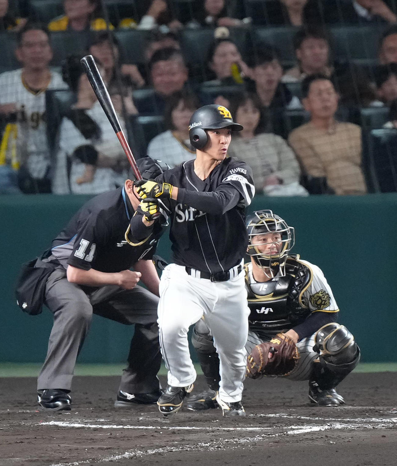 阪神対ソフトバンク　7回表ソフトバンク無死、中前打を放つ柳町（撮影・足立雅史）