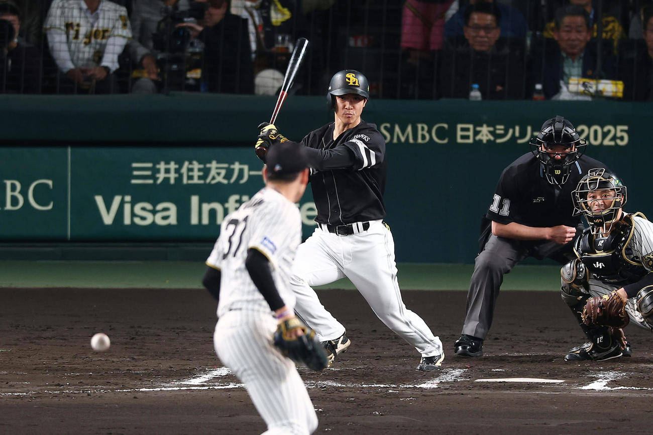 阪神対ソフトバンク　7回表ソフトバンク無死、中前打を放つ柳町。投手及川（撮影・前田充）
