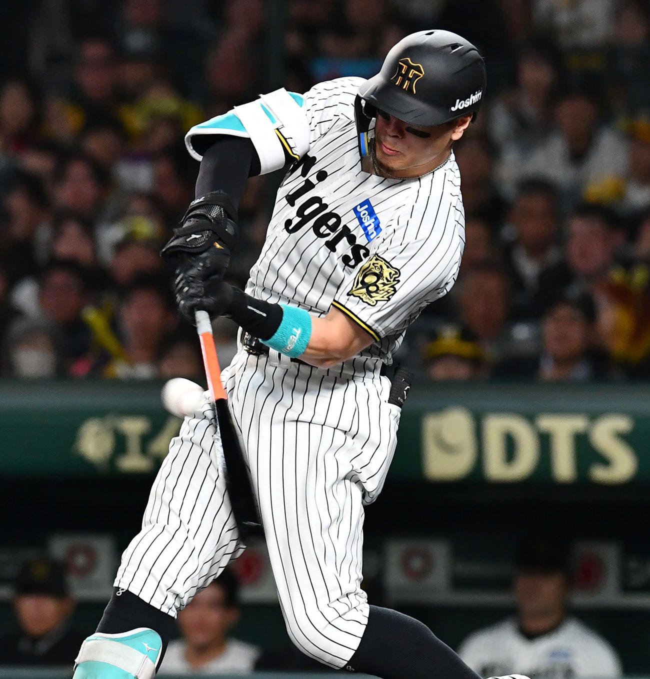 阪神対ソフトバンク　2回裏阪神無死、佐藤輝は左前安打を放つ（撮影・岩下翔太）