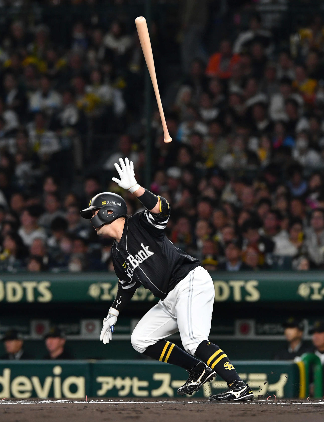 阪神対ソフトバンク　6回表ソフトバンク無死、嶺井は中前安打を放つ（撮影・岩下翔太）