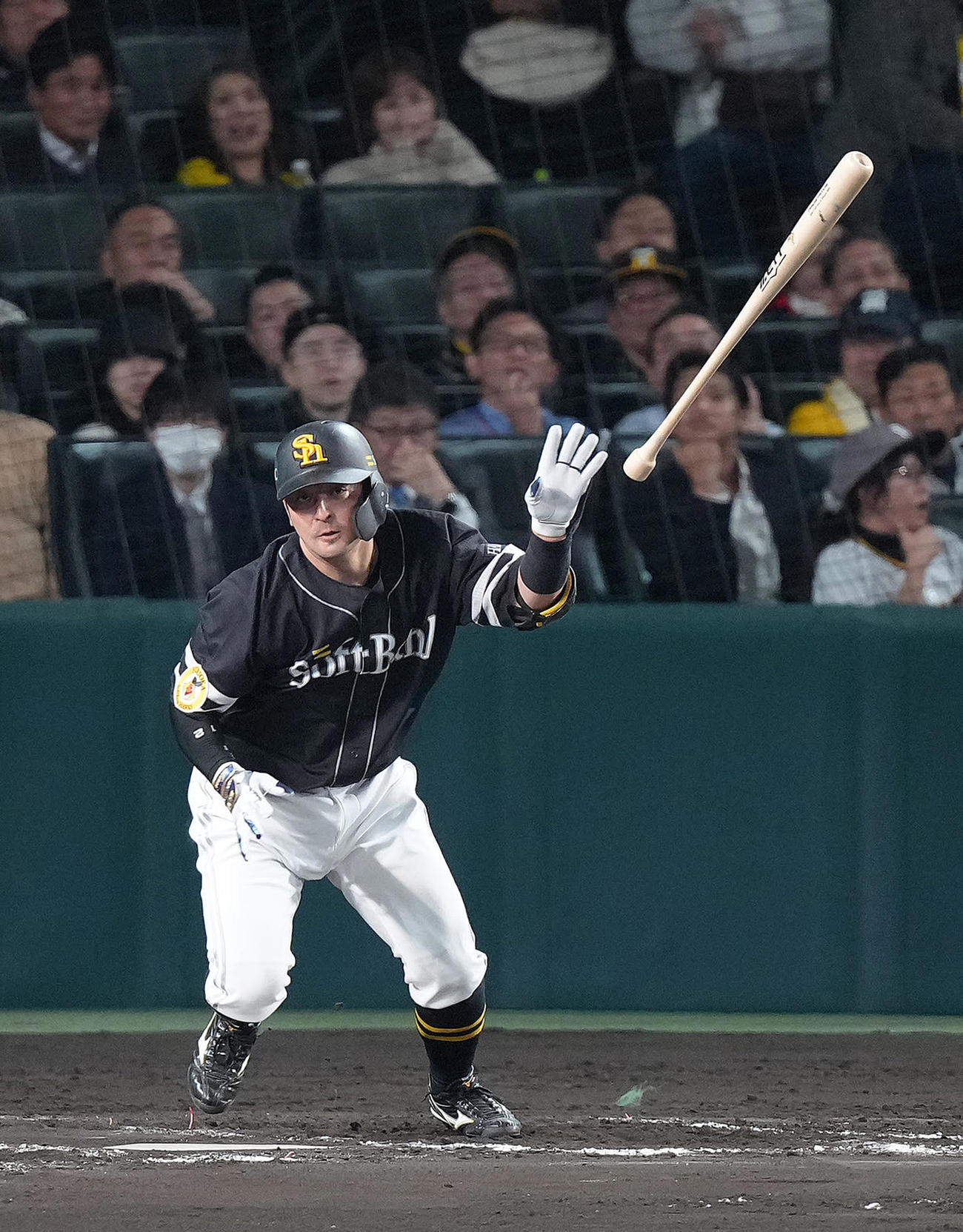 阪神対ソフトバンク　8回表ソフトバンク無死、嶺井は右前打を放つ（撮影・足立雅史）