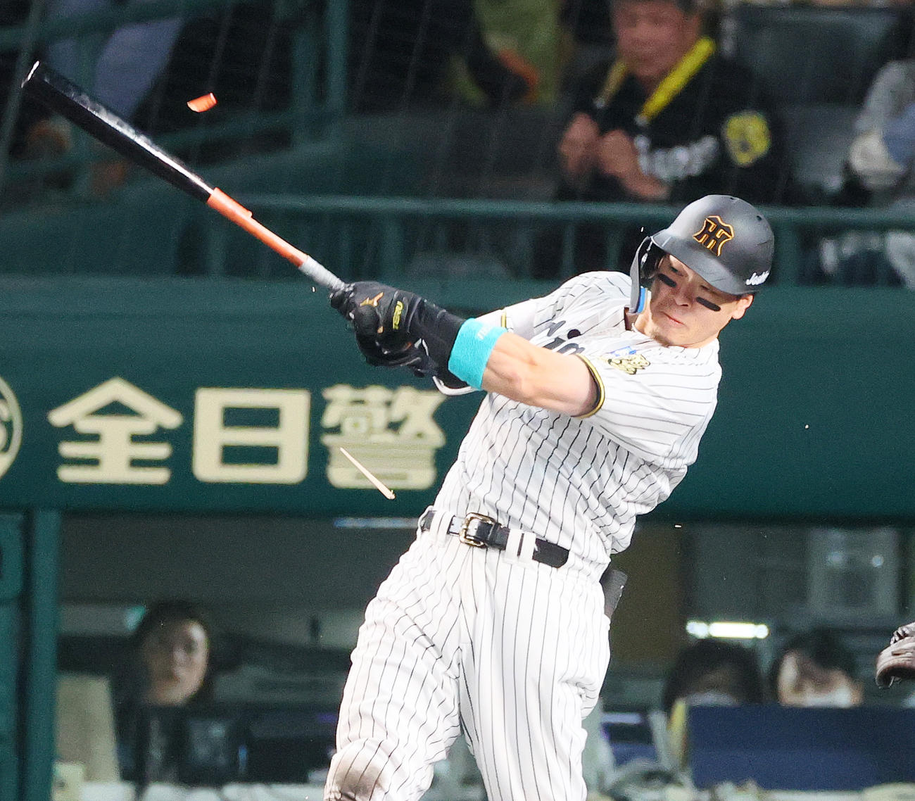 阪神佐藤輝明（2025年10月30日撮影）